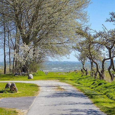 Stryno Living Villa Rudkøbing Екстериор снимка